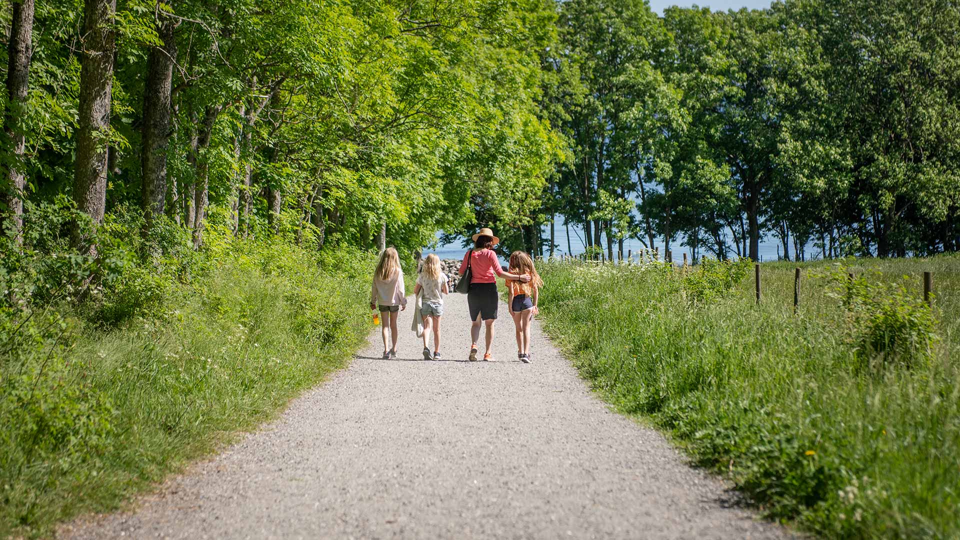 Moss vinter 001 (1).jpg