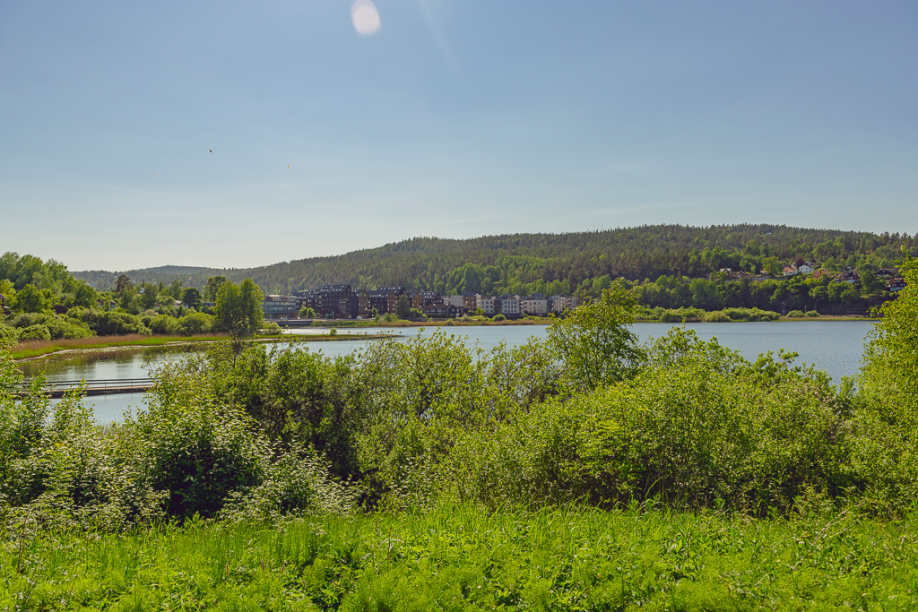 Landskapet i Heggedal, med Gjellumvannet i forgrunnen og bebyggelsen i Heggedal i bakgrunnen.