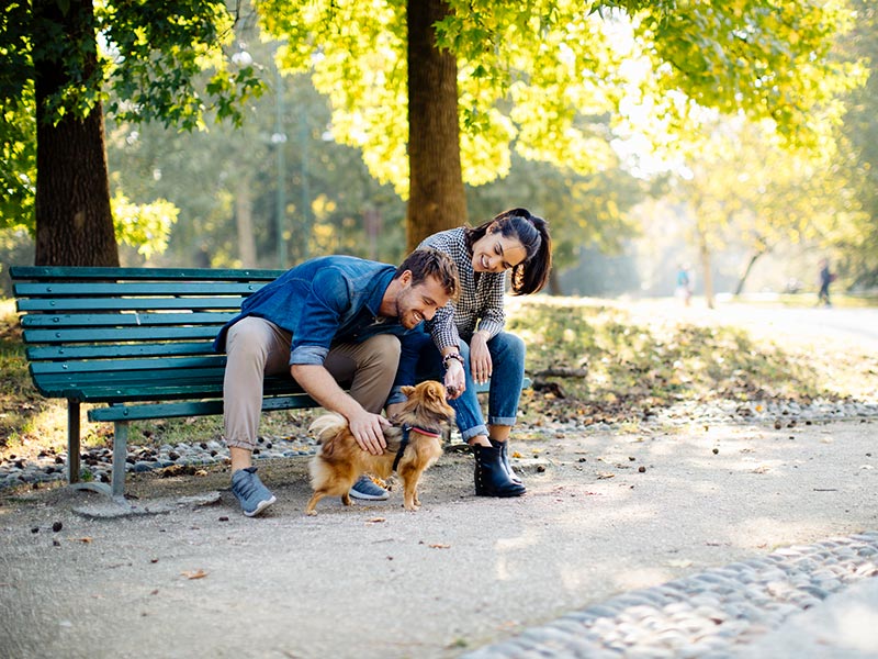 Bilde fra uteplassen til leilighet i Strømmen Verksted. Lyst tregulv, grå sofa med beige puter. Grønn plen, grønne planter, sol og blå himmel.